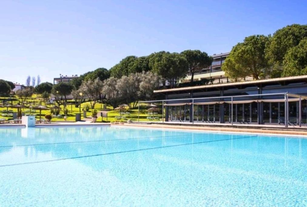 Sea View Apartment Near Meia Praia Beach In Lagos! Eksteriør billede