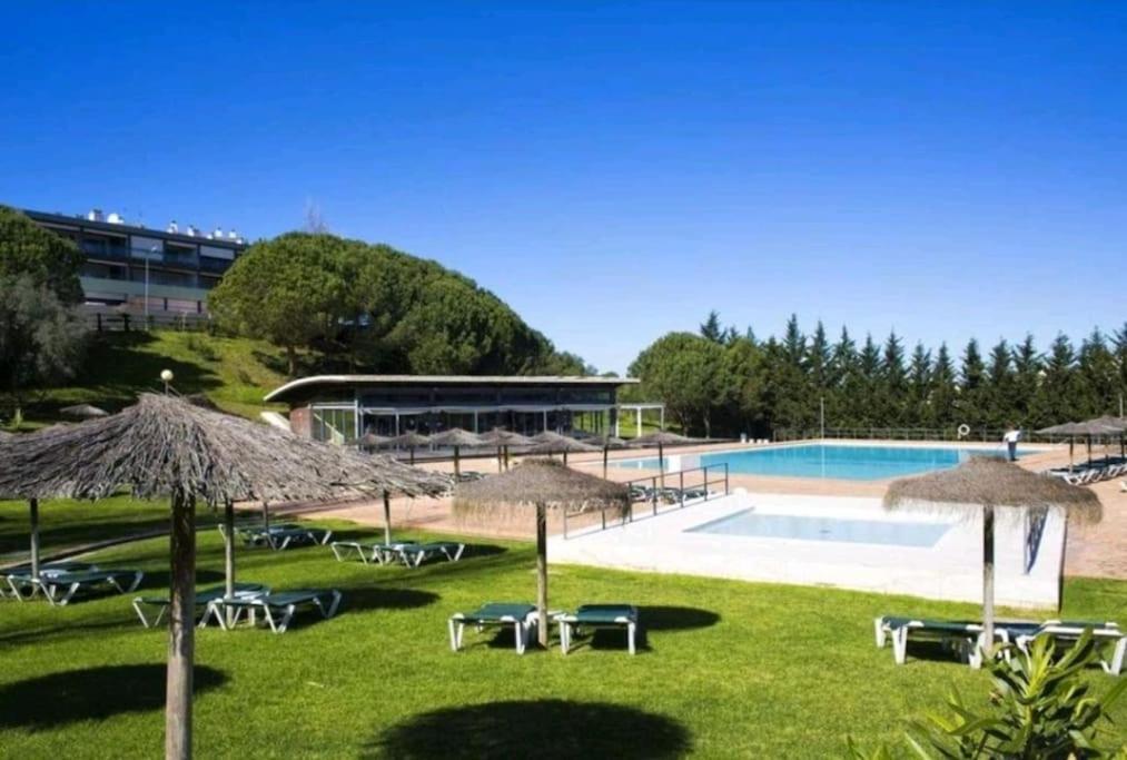 Sea View Apartment Near Meia Praia Beach In Lagos! Eksteriør billede